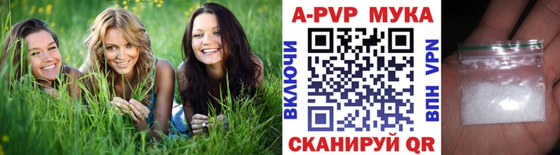 kraken ссылки  Благовещенск  Alfa_PVP СК КРИС 