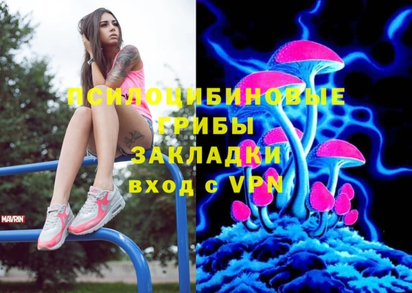 мяу мяу мука Гусев
