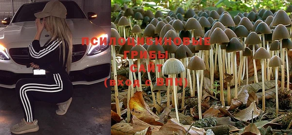 MESCALINE Гусиноозёрск