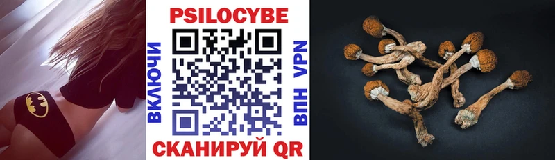 Псилоцибиновые грибы Psilocybine cubensis  KRAKEN сайт  Благовещенск  купить  