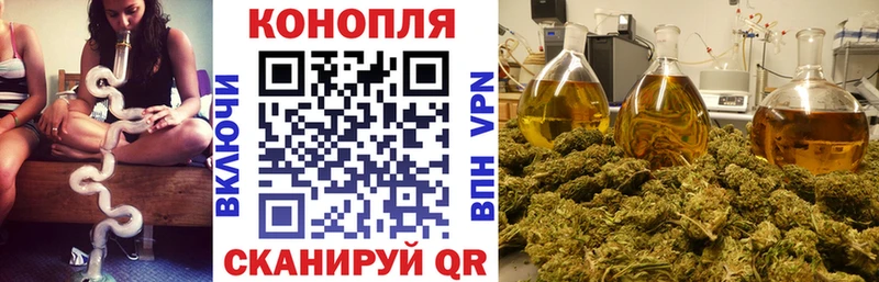 Шишки марихуана Amnesia  сколько стоит  Благовещенск 